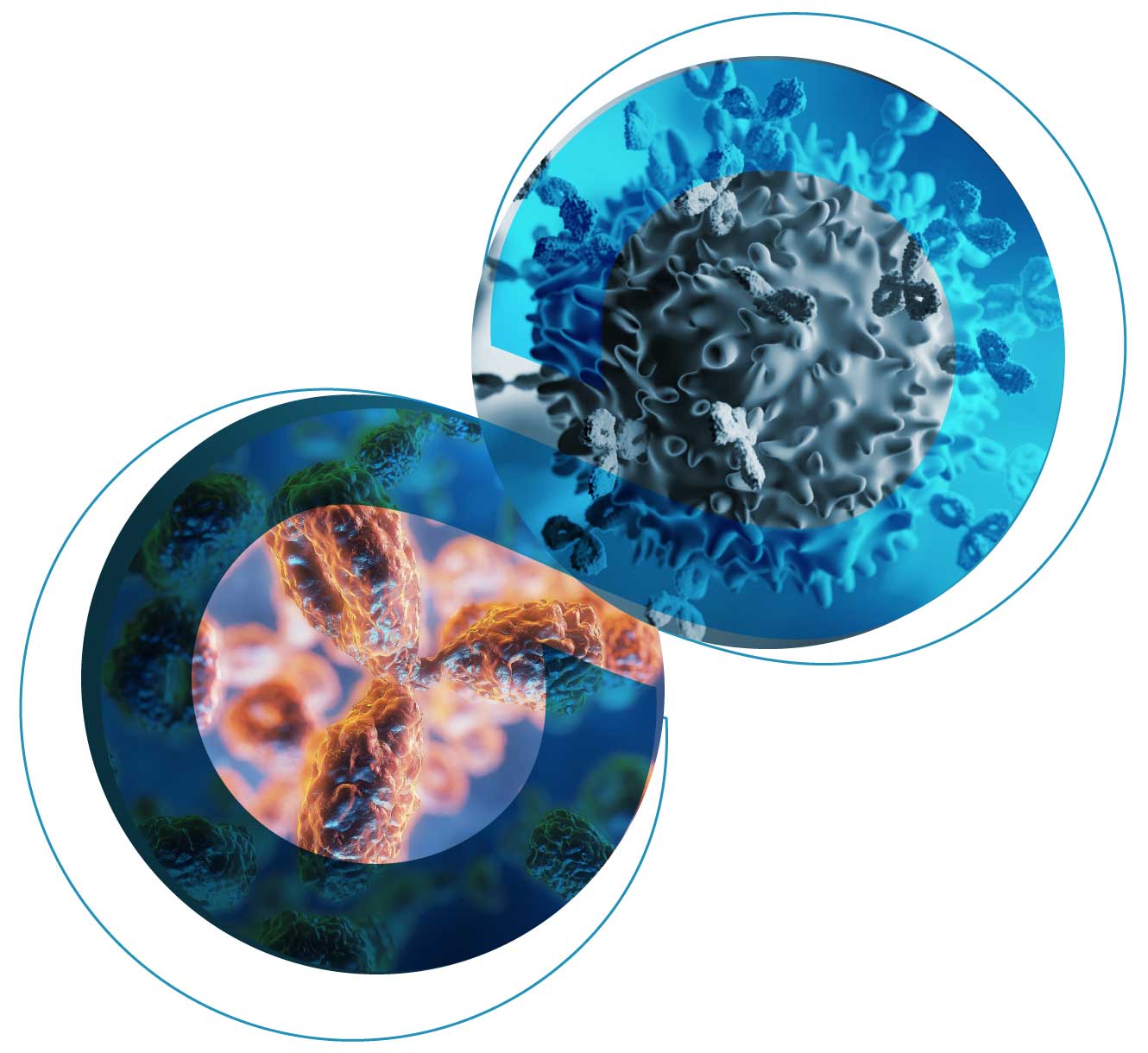 antibody profiling rendering