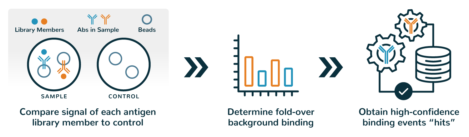 antibody characterization process