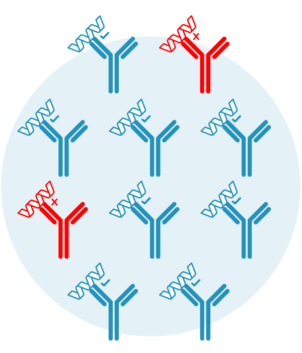 off target binding